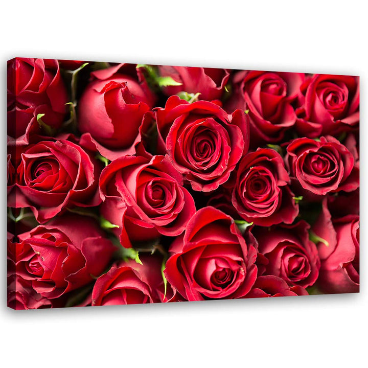 Feeby Vlies Leinwandbild Roses Komposition 80x60 cm Wand Bild Kunstdruck Deko Wohnzimmer Wohnungs De