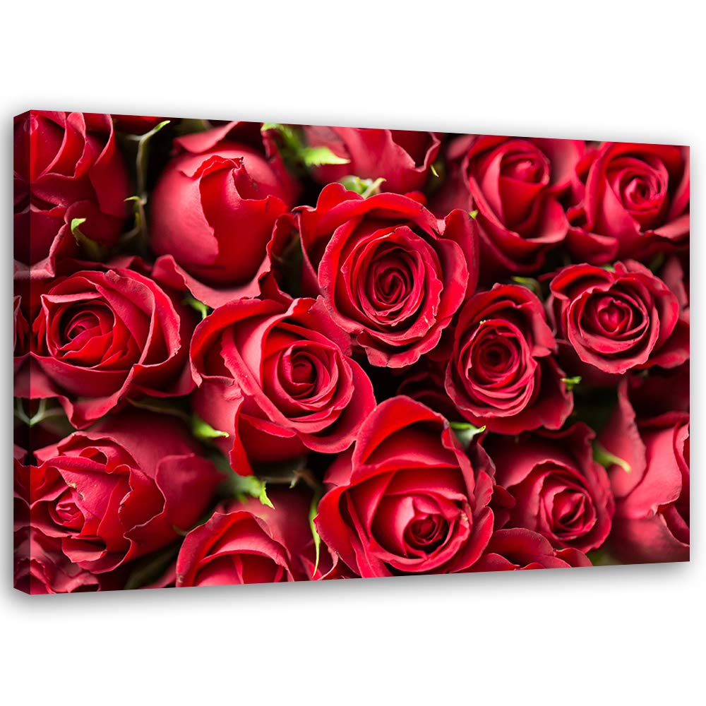 Feeby Leinwandbild Natur Bild Kunstdruck Blume Rot 70x50 cm M14550 70x50 cm, M14550 70x50 cm