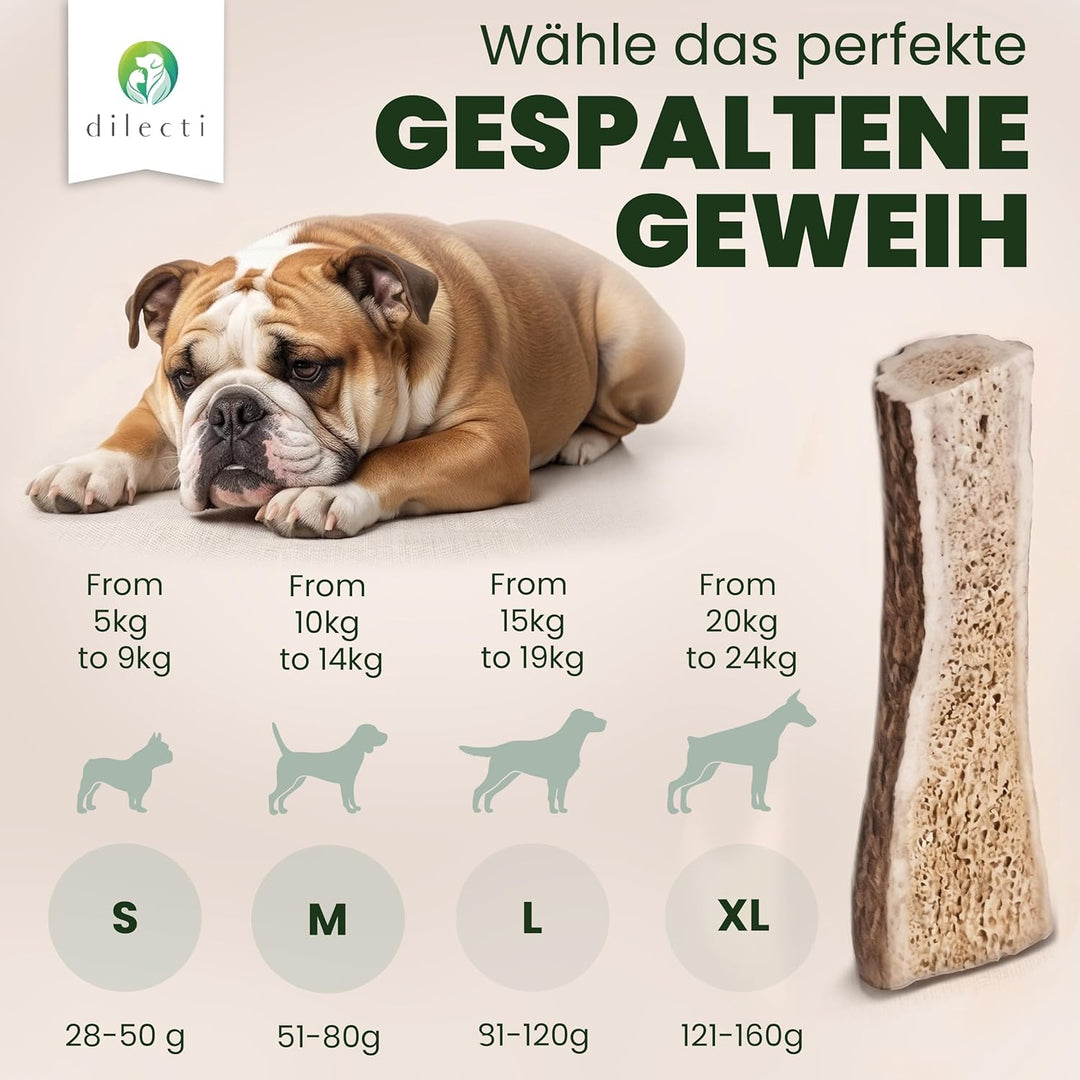 Dilecti Geweih für Hunde - Natürliche, robuste und nahrhafte Kauartikel aus Hundegeweih. Reich an Pr