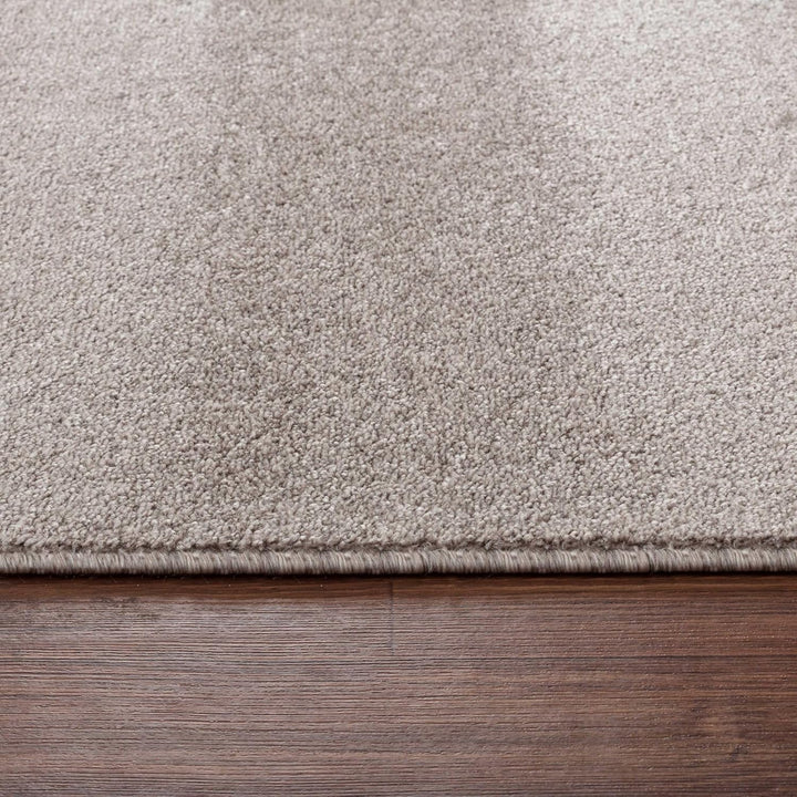 Carpetsale24 Teppich Wohnzimmer Dichter Kurzflor Einfarbig Teppich Modern Robust Rechteckig und Rund