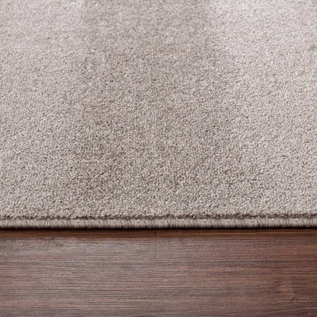 Carpetsale24 Teppich Wohnzimmer Dichter Kurzflor Einfarbig Teppich Modern Robust Rechteckig und Rund