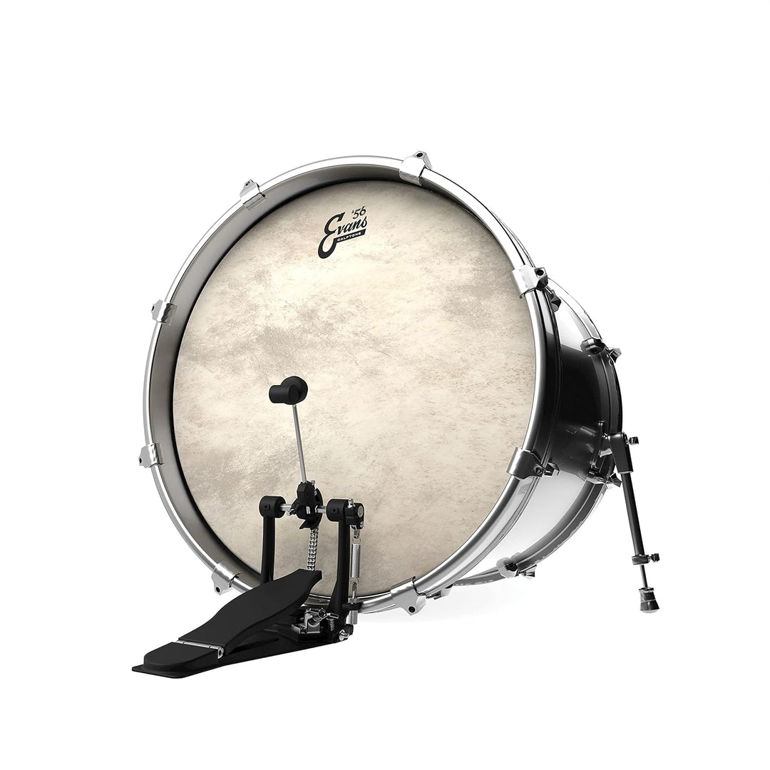 Evans BD20CT Bassdrum Fell 50,8 cm, 50,8 cm