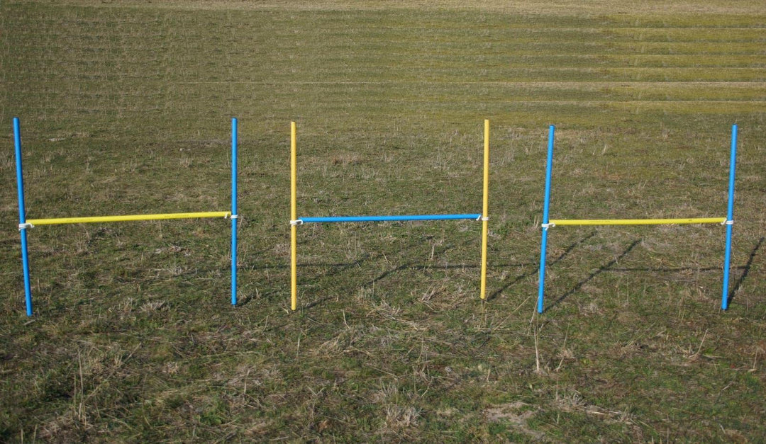 3 X Hobby-Horsing/Hobby-Horse/HÜRDEN-Set IN BLAU/GELB