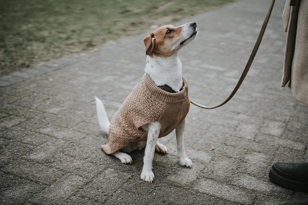 HUNTER Hundepullover MALMÖ,45, beige beige 45, beige 45