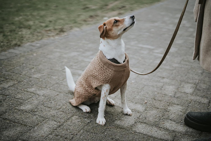 HUNTER Hundepullover MALMÖ,45, beige beige 45, beige 45