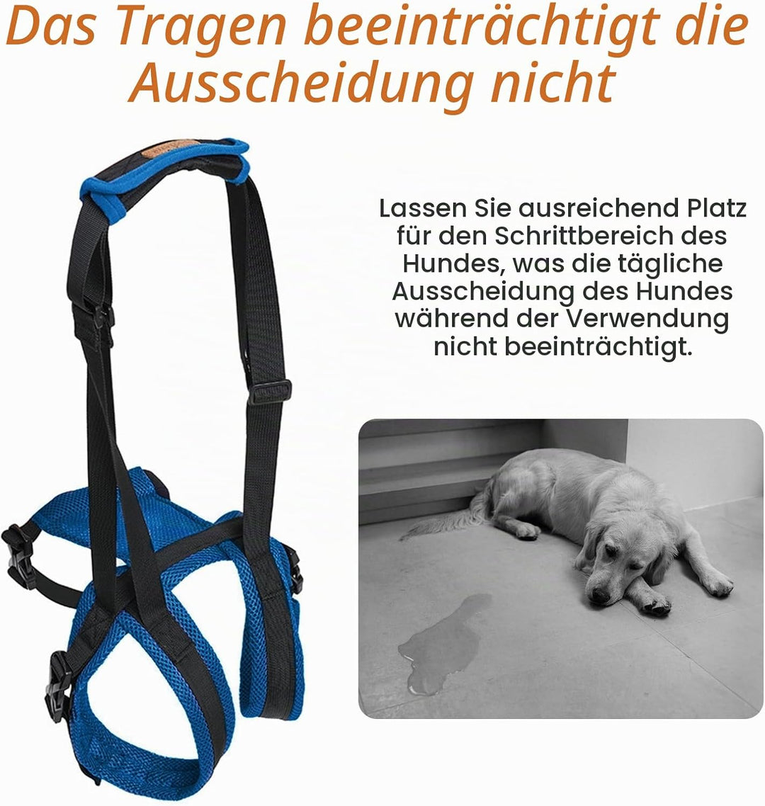 Tragehilfe Hund Hinterbeine Mit Griff, Einstellbar Unterstützung Geschirr zum Bewegen von Hunden, Ge
