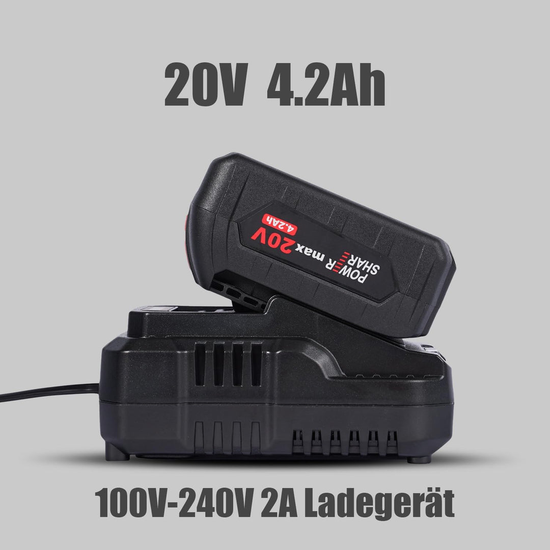 vikky Professional Akku-Schlagbohrschrauber BLSG100 (20V, Brushless, 100Nm, Schlagbohrfunktion, 2 Ga