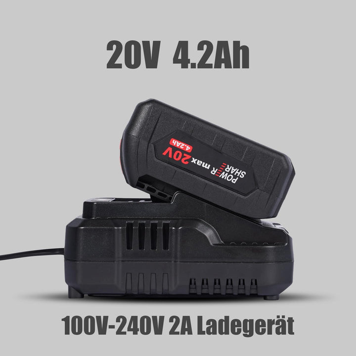 vikky Professional Akku-Schlagbohrschrauber BLSG100 (20V, Brushless, 100Nm, Schlagbohrfunktion, 2 Ga