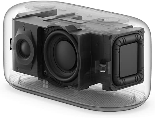 Microsoft Audiodock, Schwarz