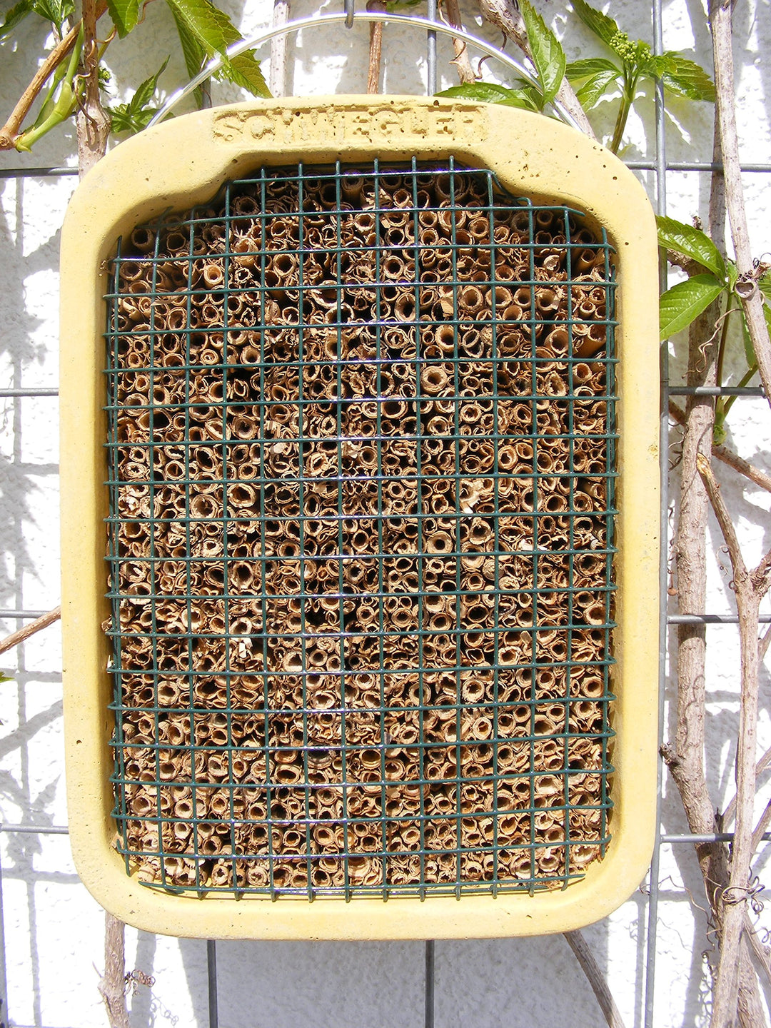 Schwegler Insektennistwand mit Naturschilf