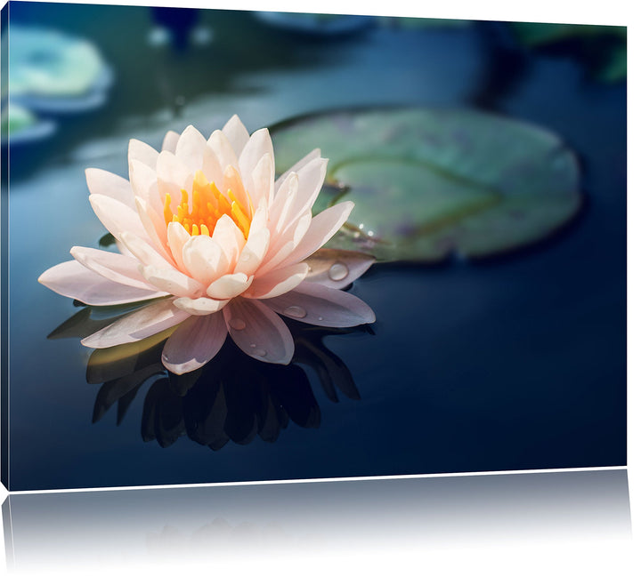 Pixxprint Eine schöne rosa Lotosblume in Teich, Format: 100x70 auf Leinwand, 100x70