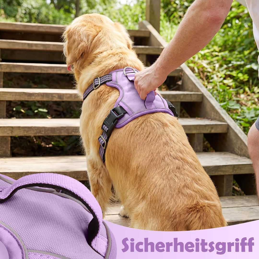 Funfox Hundegeschirr Mittelgrosse Hunde, Anti Zug Brustgeschirr Verstellbares Geschirr Hund mit Grif