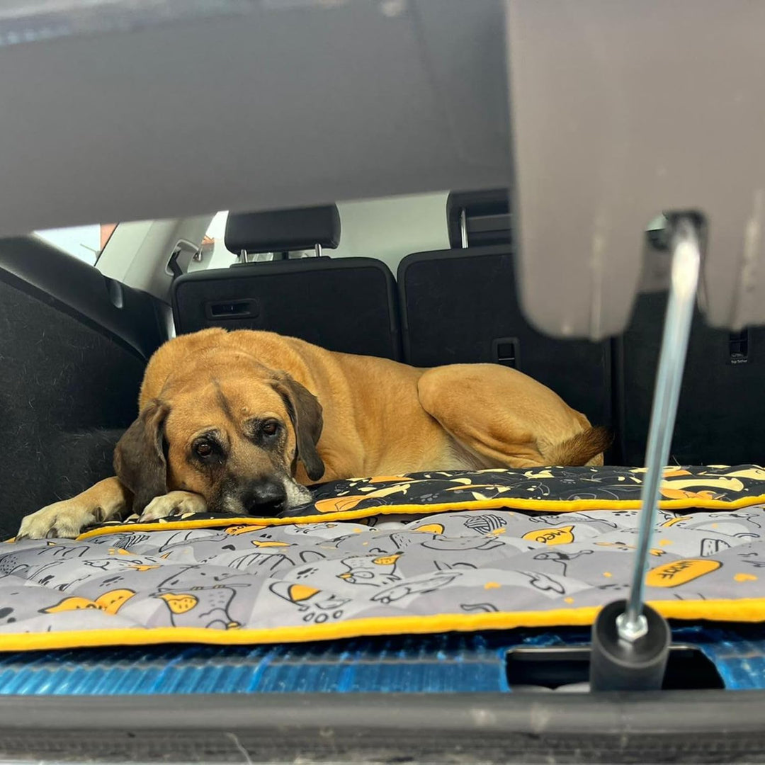 Dingo Gear Heckklappenaufsteller Auto – Kofferraum Lüftung für Hund, Heckklappenbegrenzer für sicher