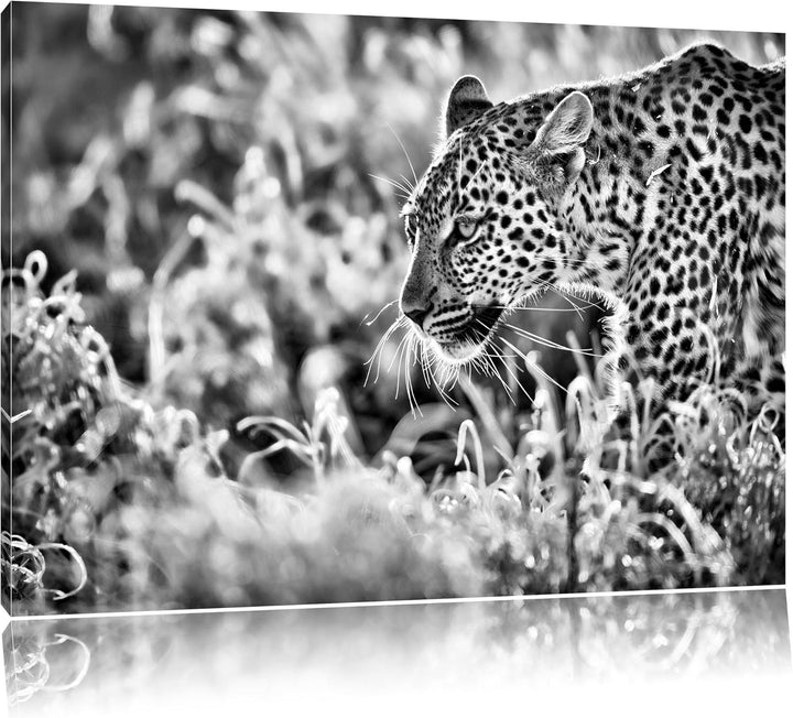 Pixxprint Jagender Leopard / 100x70cm Leinwandbild bespannt auf Holzrahmen/Wandbild Kunstdruck Dekor