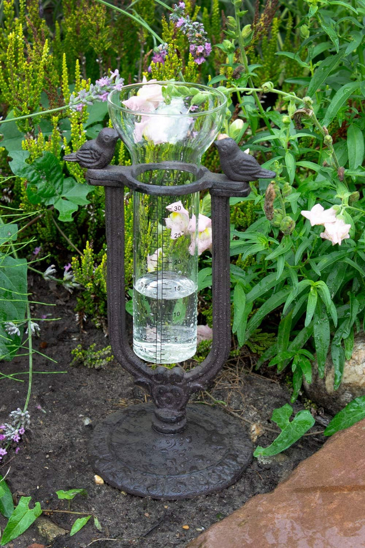 B2S BACK2SEASON Regenmesser Vogel Metall Stellen Glas Skala Niederschlagsmesser Wetterstation Garten
