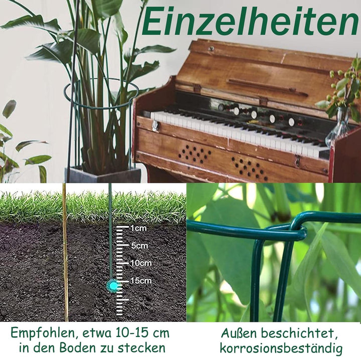 8 Stück pflanzenstütze, ASSUGO staudenhalter rund aus beschichtetem Stahl, Metall Garden Halbrund St