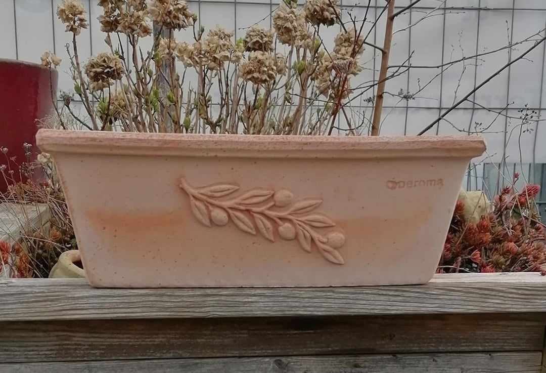 NEU !! Blumenkasten 50 cm mit Olivendekor echt Terracotta Terrakotta Garten Deko Pflanztopf Balkonka
