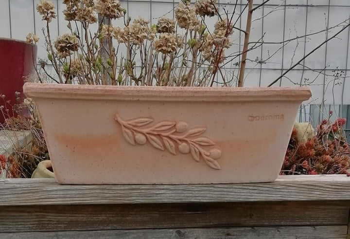 NEU !! Blumenkasten 50 cm mit Olivendekor echt Terracotta Terrakotta Garten Deko Pflanztopf Balkonka