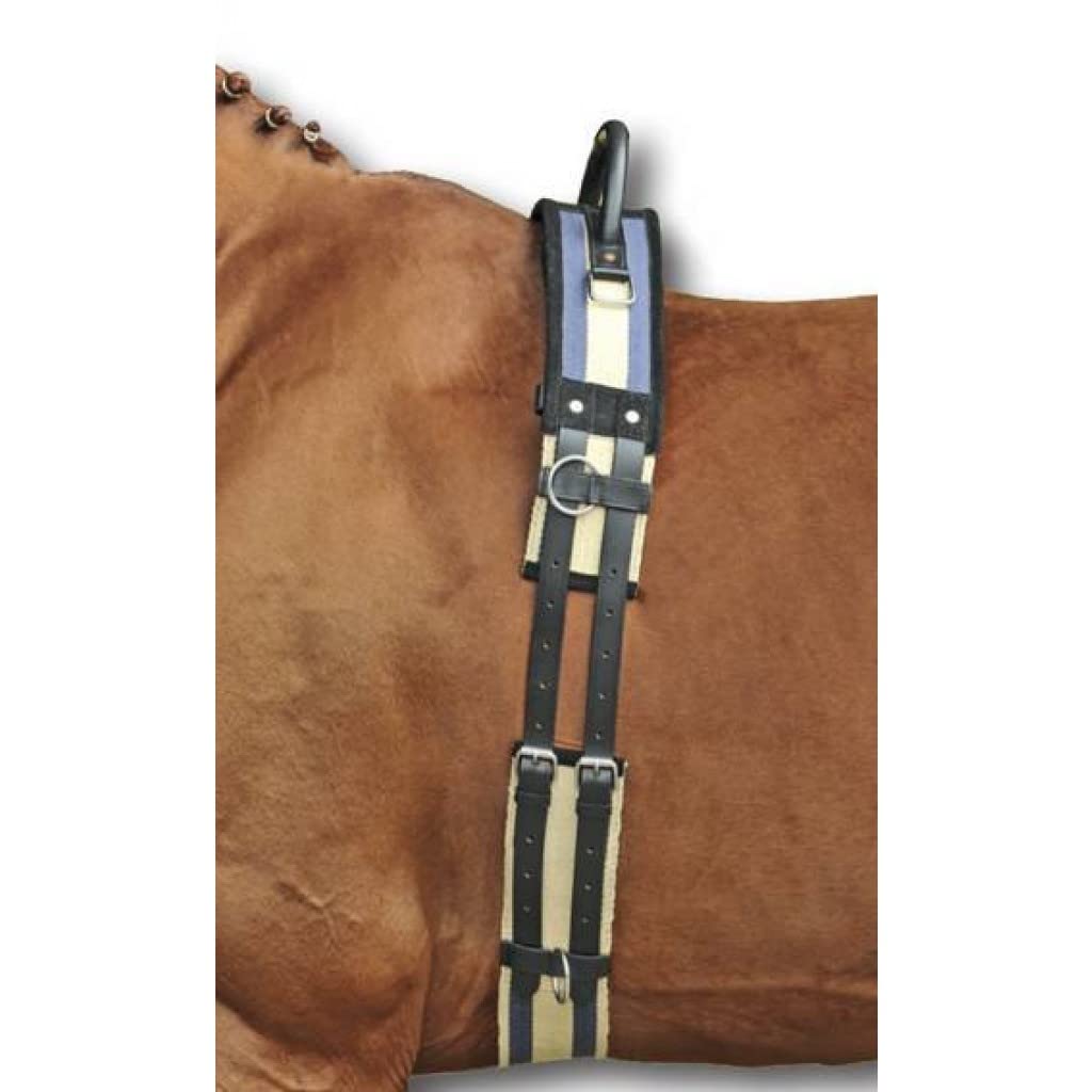 HKM 542120 Longiergurt mit Haltegriff, Pony, dunkelblau/beige Pony dunkelblau / beige, Pony dunkelbl
