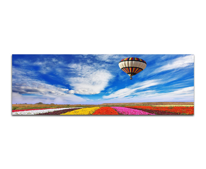 Paul Sinus Art Panoramabild auf Leinwand und Keilrahmen 150x50cm Blumenfeld Heissluftballon Sommer H