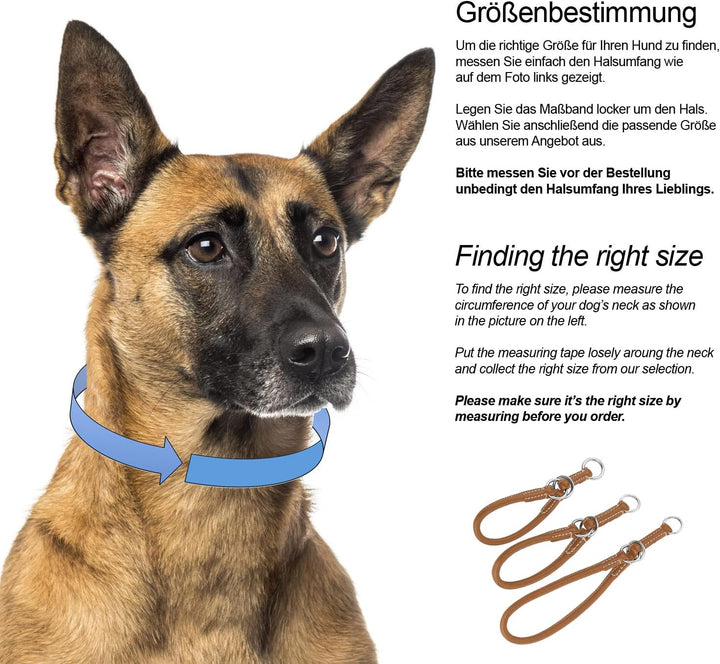 Schnüffelfreunde Zugstopp Hundehalsband aus Leder I Erziehungshalsband I Dressurhalsband I Lederhals