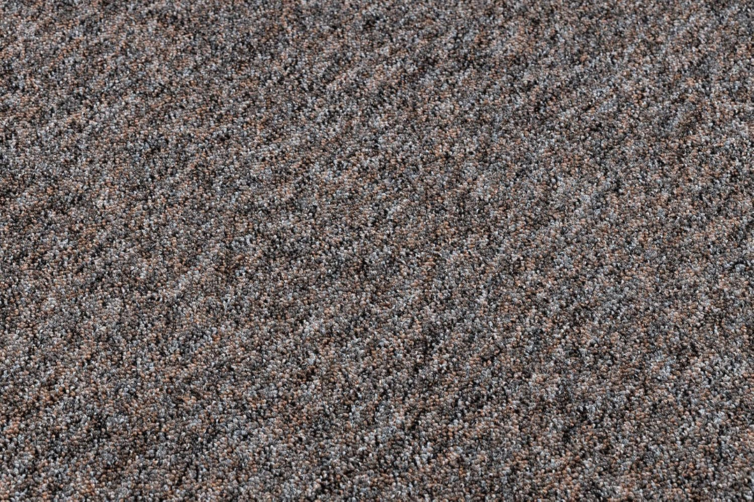 rugsx Einfarbiger empfindlich Teppich Superstar 310 für Zimmer, Wohnzimmer, Schlafzimmer, Teppichbod