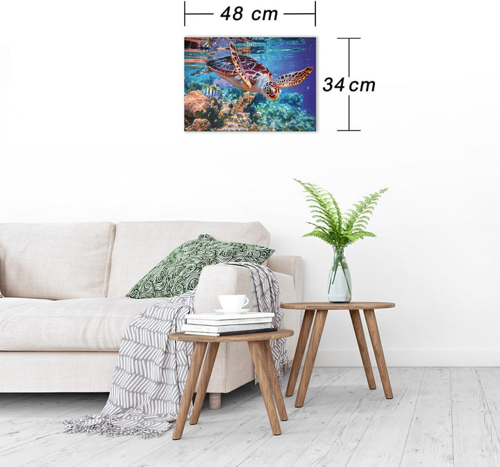 Ulmer Puzzleschmiede - Puzzle „Meeresschildkröte“ - Klassisches 500 Teile Puzzle aus dem Meer – Puzz