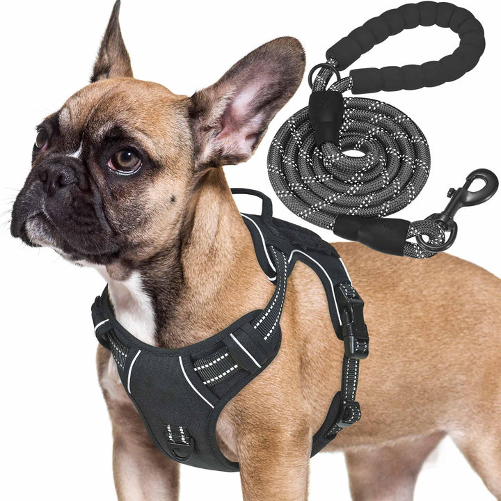 Haapaw Heavy Duty Taktisches Hundegeschirr für mittelgrosse Hunde, kein Zug Verstellbares Haustierge