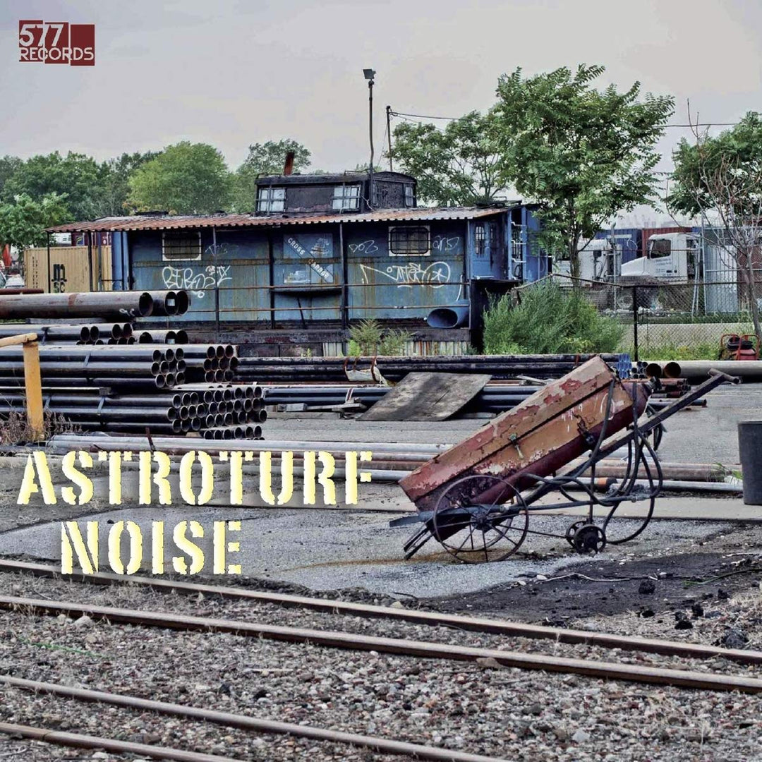 Astroturf Noise, Vinyl