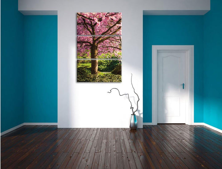Pixxprint Rosa blühende Kirschbäume als Leinwandbild/Grösse: 3 Teilig (120x80) cm/Wandbild/Kunstdruc