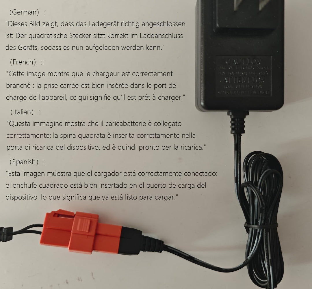 6 Volt Batterieladegerät für Aufsitzspielzeug 6V Kinder Aufsitzauto Ladegerät, 6V Elektroauto Aufsit