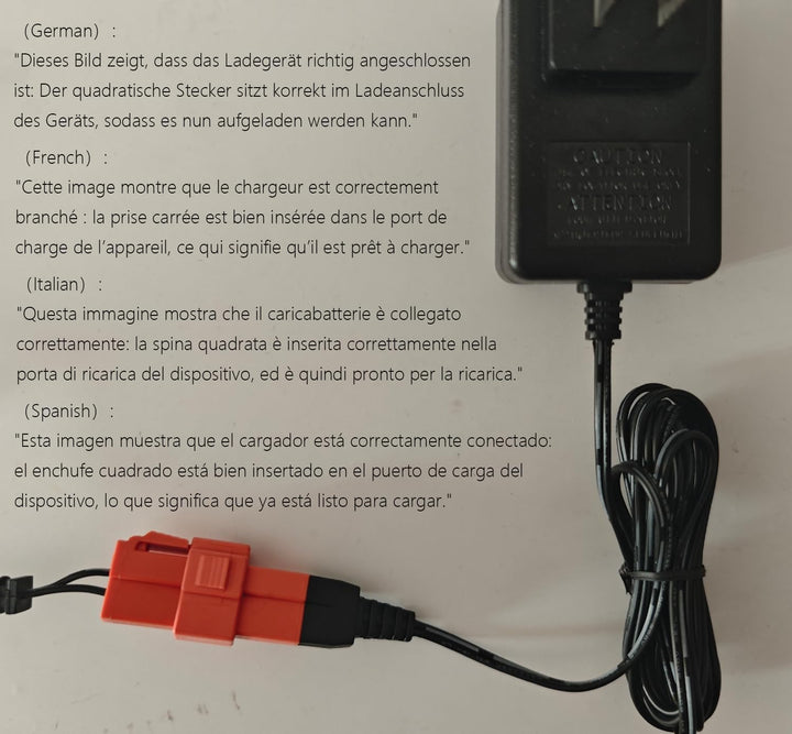6 Volt Batterieladegerät für Aufsitzspielzeug 6V Kinder Aufsitzauto Ladegerät, 6V Elektroauto Aufsit