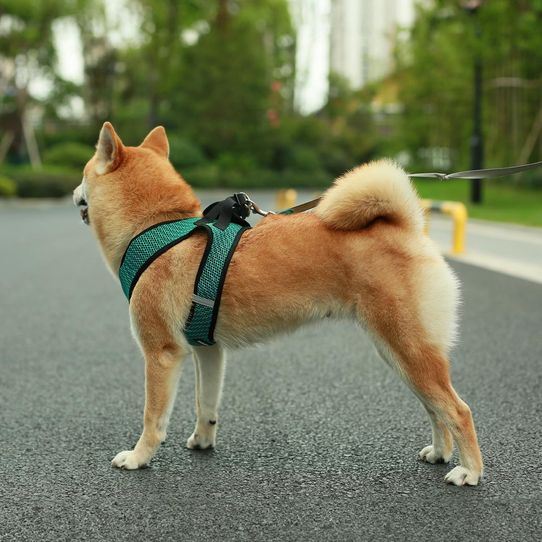 Voyager Step-in-Air-Hundegeschirr, Allwetter-Netz-Hundegeschirr für kleine und mittelgrosse Hunde, v