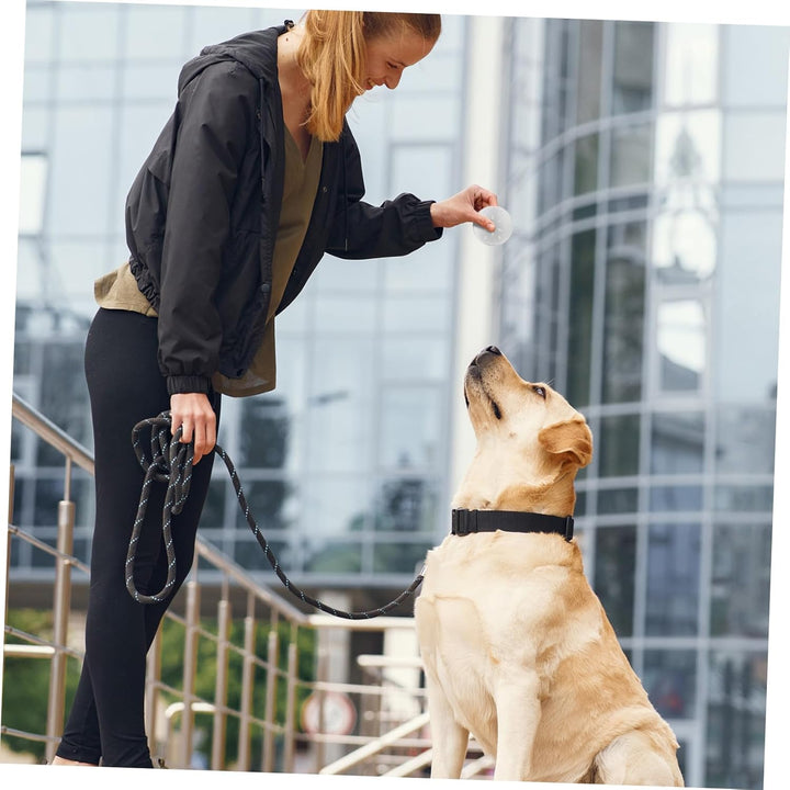 MAGICLULU Hundetraining Hunde Training Zubehör 10 Stück Hundedufttrainingsbox Geruchstrainingskanist