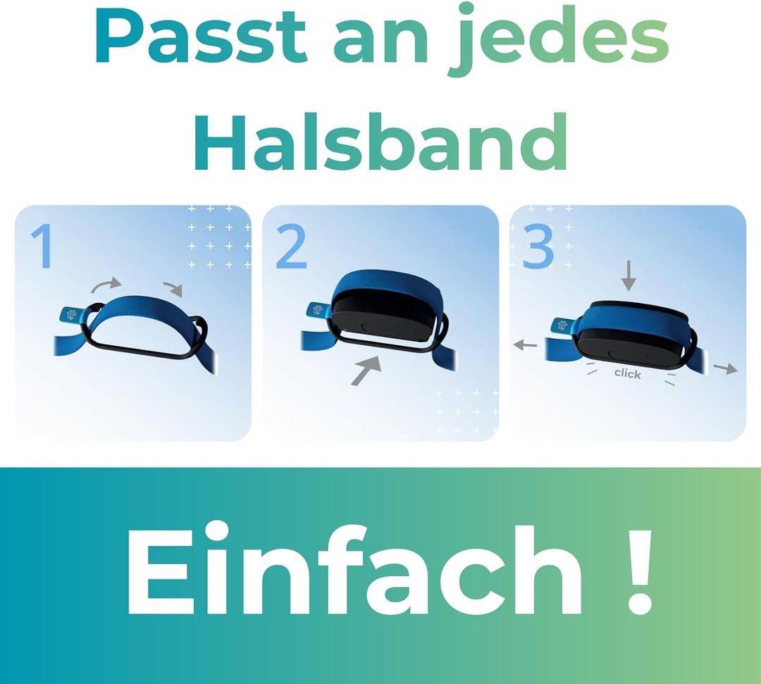 Invoxia Minitailz - Gesundheits- und GPS-Tracker für Hunde 