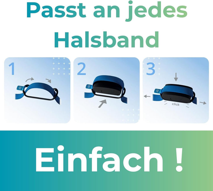 Invoxia Minitailz - Gesundheits- und GPS-Tracker für Hunde 