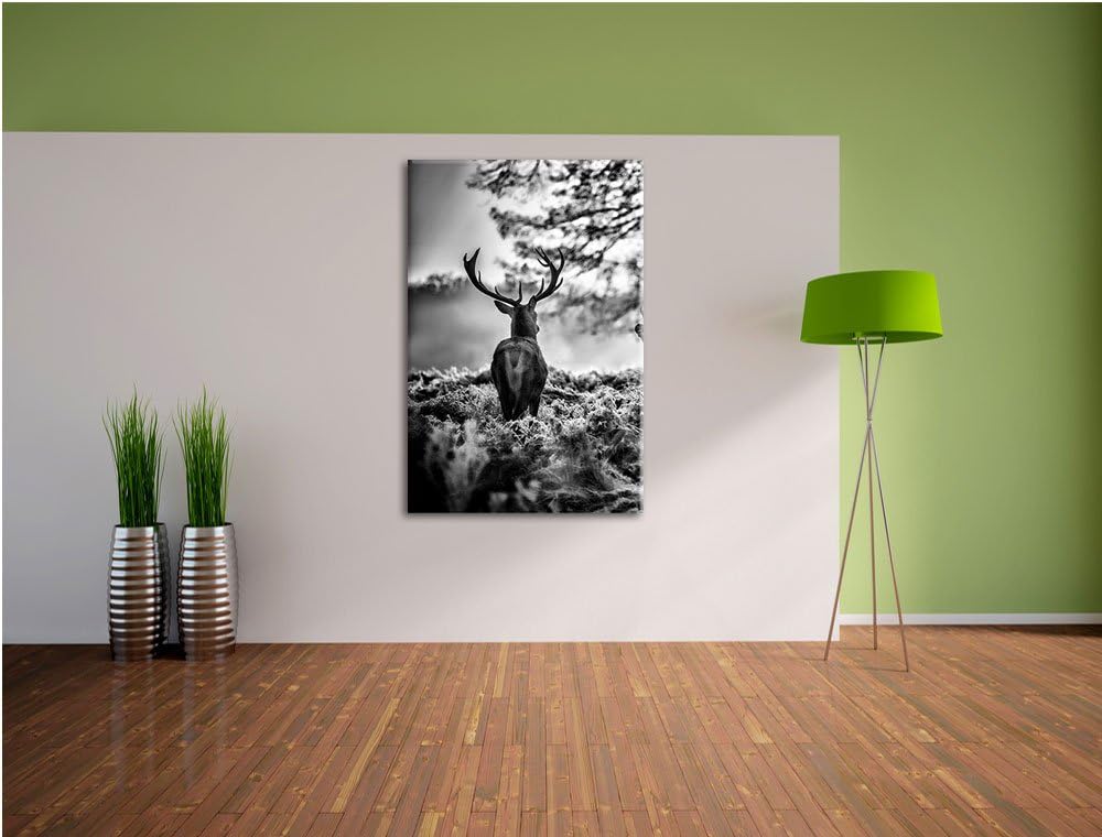 Pixxprint Hirsch Rivalen kämpfen als Leinwandbild/Grösse: 100x70 / Wandbild/Kunstdruck/fertig bespan