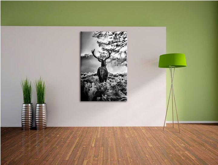 Pixxprint Hirsch Rivalen kämpfen als Leinwandbild/Grösse: 100x70 / Wandbild/Kunstdruck/fertig bespan