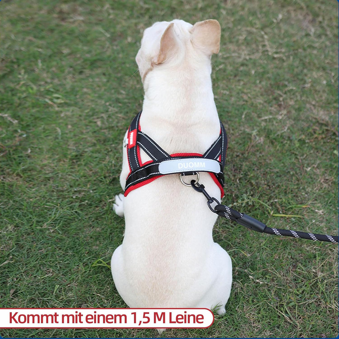 Hundegeschirr mit Leine für Mittelgrosse Kleine Hunde Welpen, Bunt Farbblock Geschirr, Mesh Gepolste