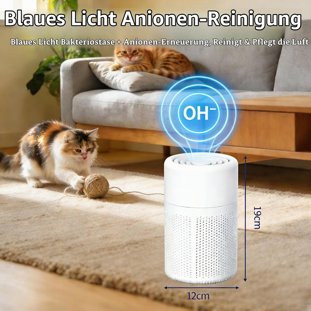 Luftreiniger Mit HEPA-Filter &amp; Aromatherapie, Gegen Schimmel Staub Pollen Tierhaare, Energiesparend,