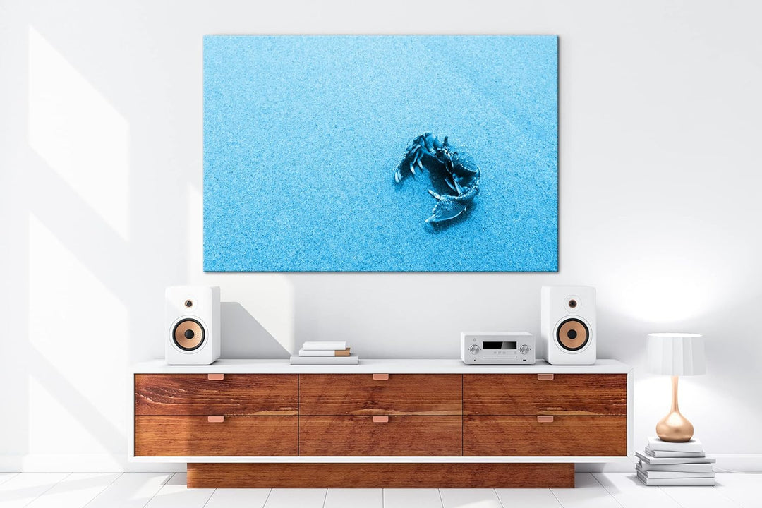 deyoli rote Krabbe im Sand Format 80x60 Effekt: Monocrome Blau als Leinwandbild, Motiv fertig gerahm