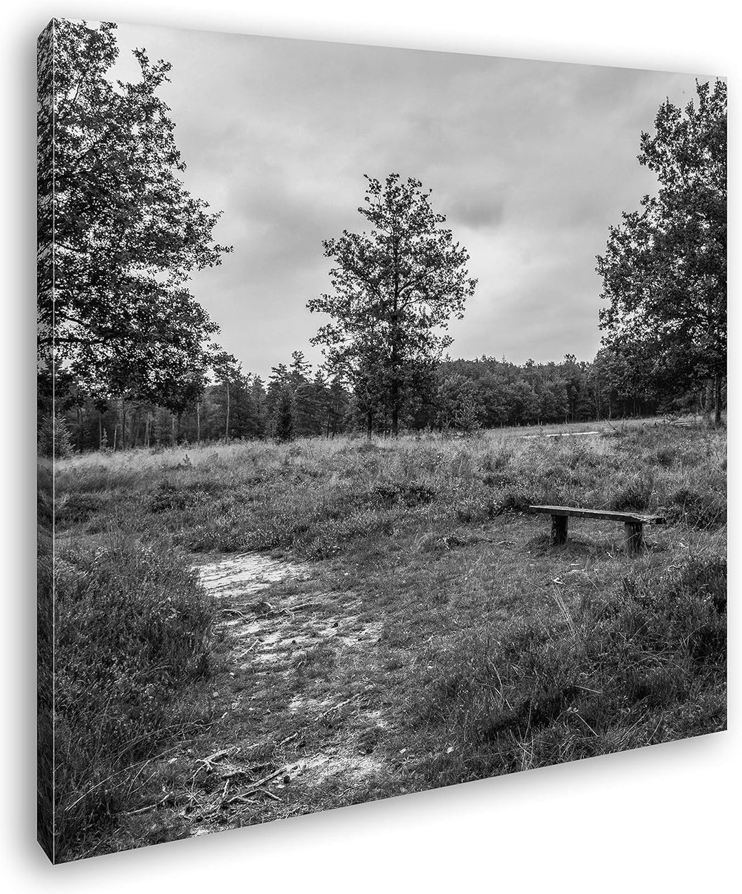 deyoli einsame Bank im Wald Format: 60x60 Effekt: Schwarz&Weiss als Leinwandbild, Motiv fertig gerah