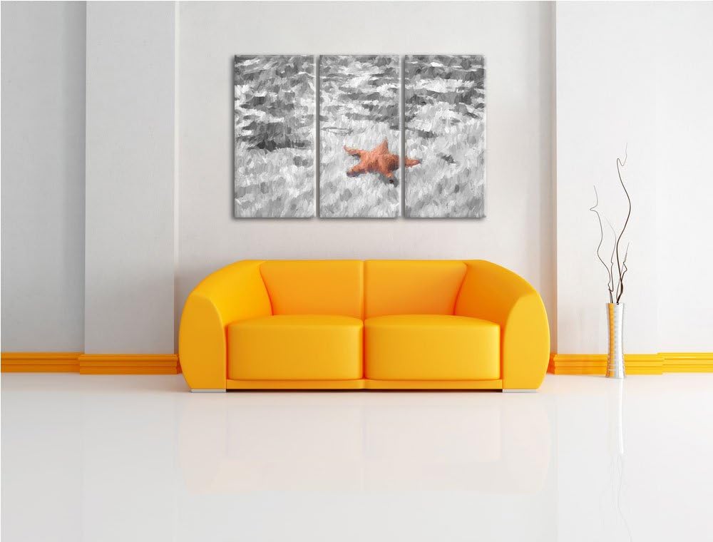 schöner Seestern im klaren Wasser schwarz/weiss Spezial 3-Teiler Leinwandbild 120x80 Bild auf Leinwa