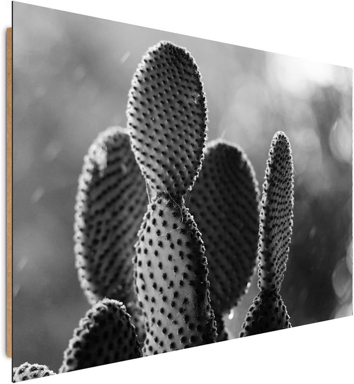 Feeby. Wandbilder - 1 Teilig- 70x100 cm - Bilder Kunstdrucke Deko Panel, KAKTUS, NATUR, SCHWARZ UND