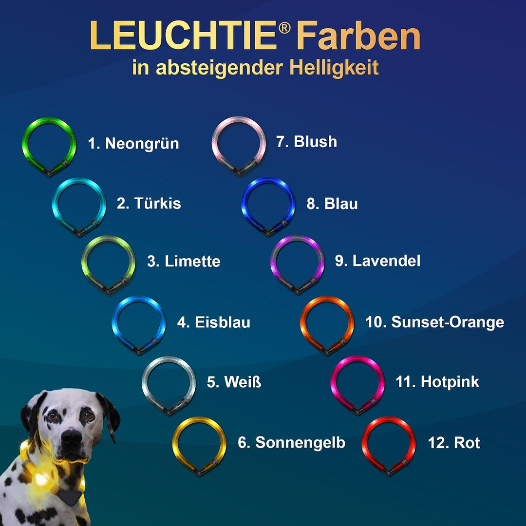 LEUCHTIE® Leuchthalsband Mini blau Grösse 30 I LED Halsband extra für kleine Hunde I wasserdicht I e