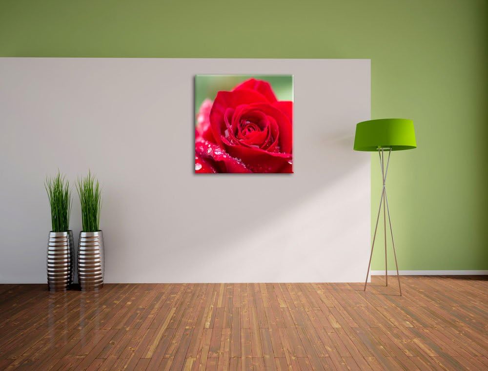 Pixxprint Rose mit Wassertropfen als Leinwandbild/Grösse: 70x70 cm/Wandbild/Kunstdruck/fertig bespan