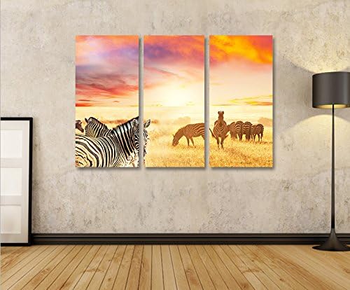 islandburner Bild Bilder auf Leinwand Zebras V3 Zebra Steppe Afrika 3p XXL Poster Leinwandbild Wandb