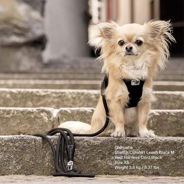 Stretch Comfort Leash Ruby M, Ruby M