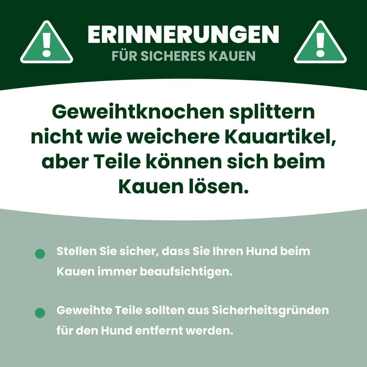Hirschgeweih für Hunde - Die robuste Geweihstange als Kauspielzeug. EIN widerstandsfähiger Kauknoche