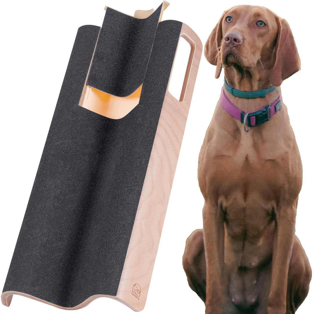 M-förmiges Hundekratzpad für Nägel mit Leckerli-Box, Hundenagel-Kratzbrett, Hundenagelfeilenspielzeu